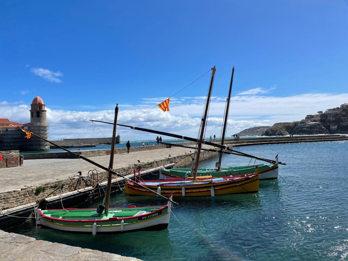 Charmant T2 Duplex Climatise Avec Terrasse, A Deux Pas De La Plage Du Port D'Avall, Collioure - Fr-1-309-233 Apartman Kültér fotó